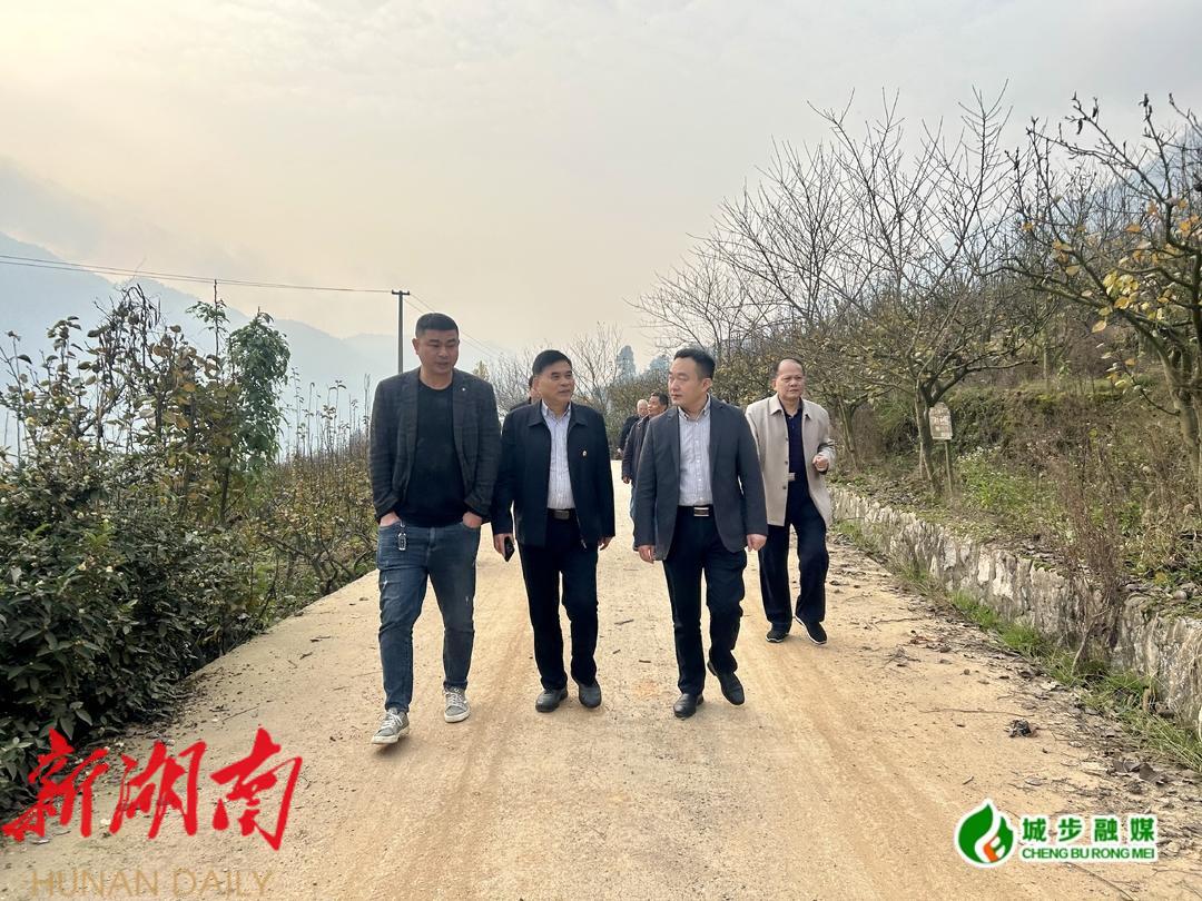 省老科协来城步调研科技示范基地建设情况_邵阳头条网